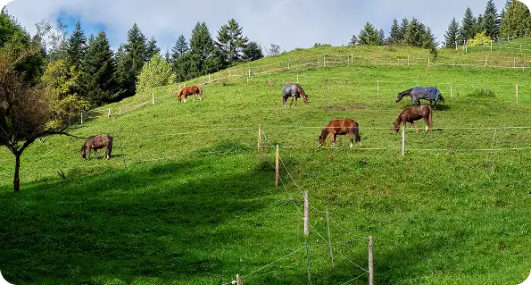 humaneo-concerp-hero-bg